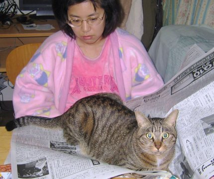 トラ王新聞