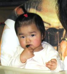 �t���[��