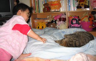 �t���[��