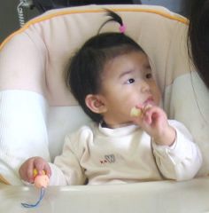 �t���[��