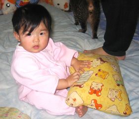 �t���[��