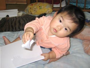 �t���[��