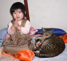 �t���[��