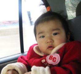 �t���[��