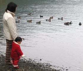 �t���[��