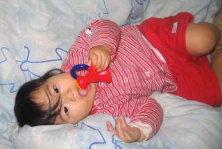 �t���[��