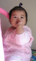 �t���[��