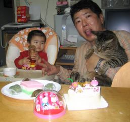 �t���[��