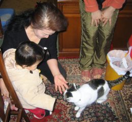 �t���[��