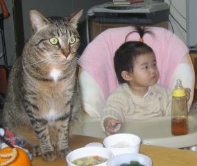 �t���[��