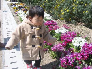 �t���[��