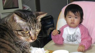 �t���[��