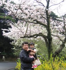 �t���[��