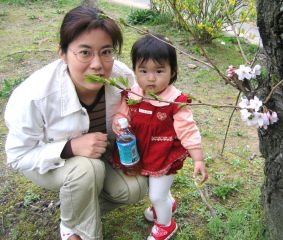 �t���[��