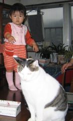 �t���[��