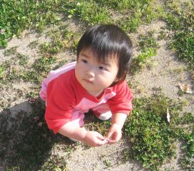 �t���[��