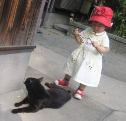 �t���[��