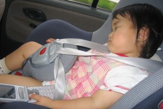 �t���[��