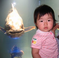 �t���[��