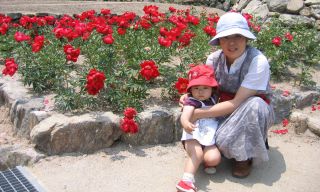 �t���[��