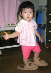 �t���[��