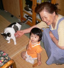 �t���[��