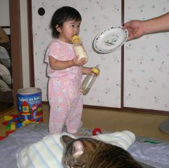 �t���[��