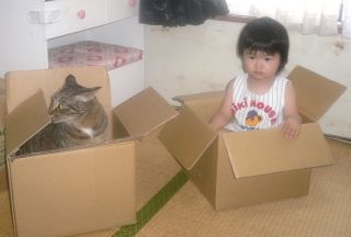 �t���[��