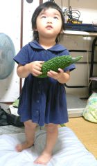 �t���[��