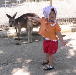 �t���[��