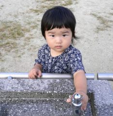 �t���[��