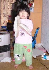 �t���[��