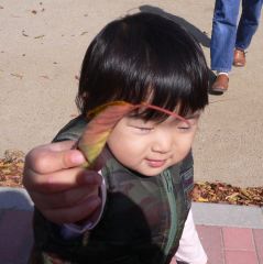 �t���[��