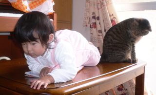 �t���[��