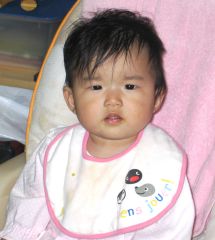 �t���[��