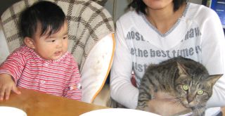 �t���[��