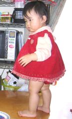 �t���[��