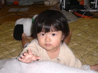 �t���[��