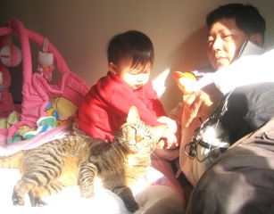 �t���[��