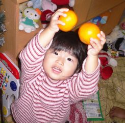 �t���[��