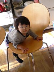 �t���[��