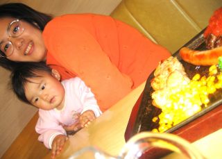 �t���[��