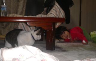 �t���[��