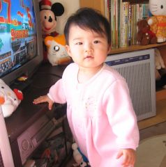 �t���[��