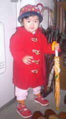 �t���[��