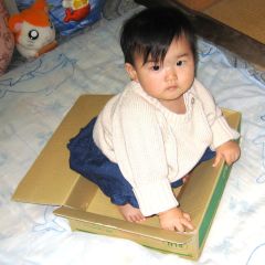 �t���[��