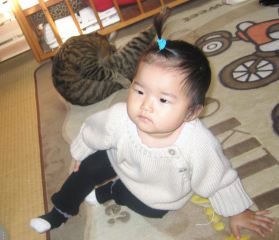 �t���[��