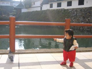 �t���[��