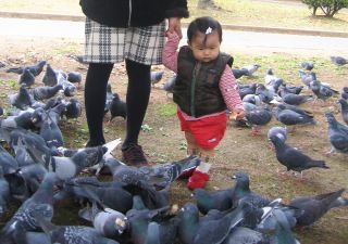 �t���[��