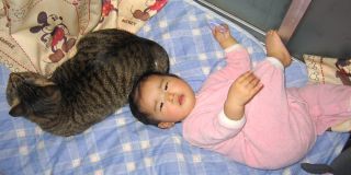 �t���[��